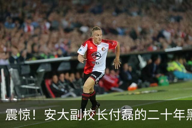 震惊！安大副校长付磊的二十年黑历史被揭露